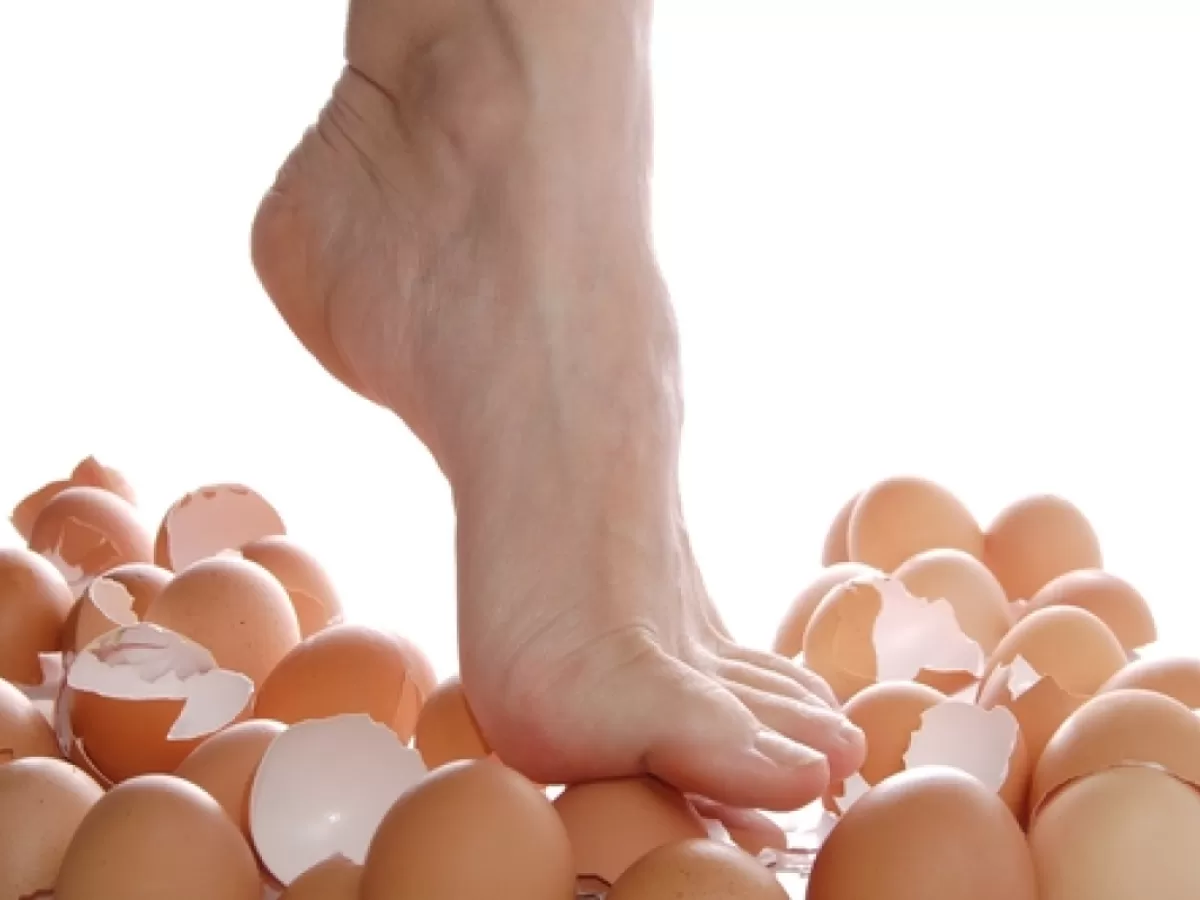 eggs shells.webp